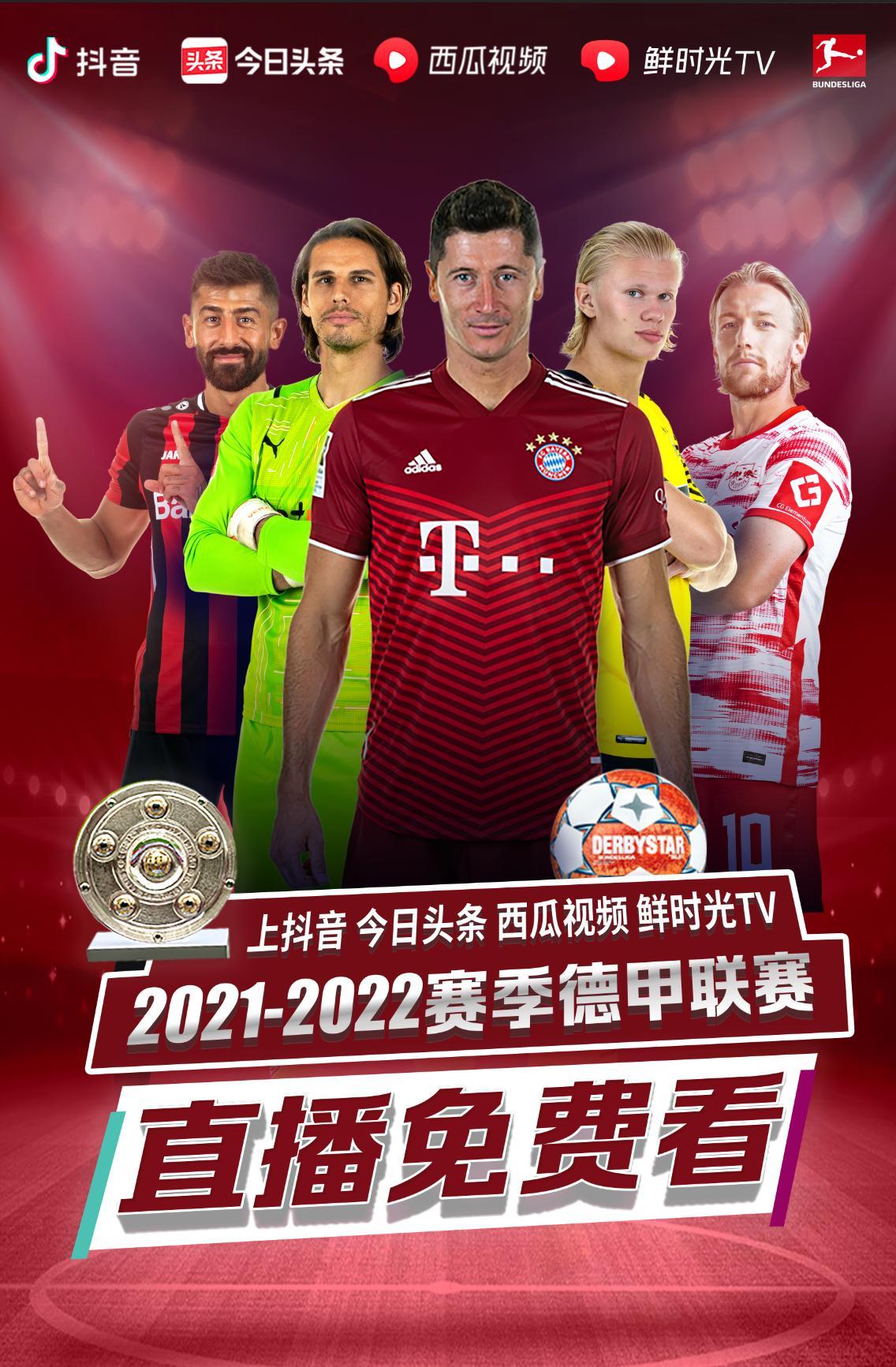 卫的组织不
